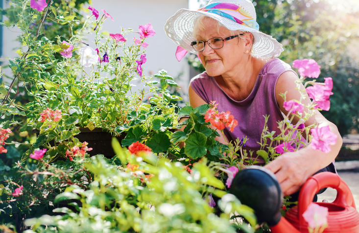 Senior woman gardening and watering flowers
