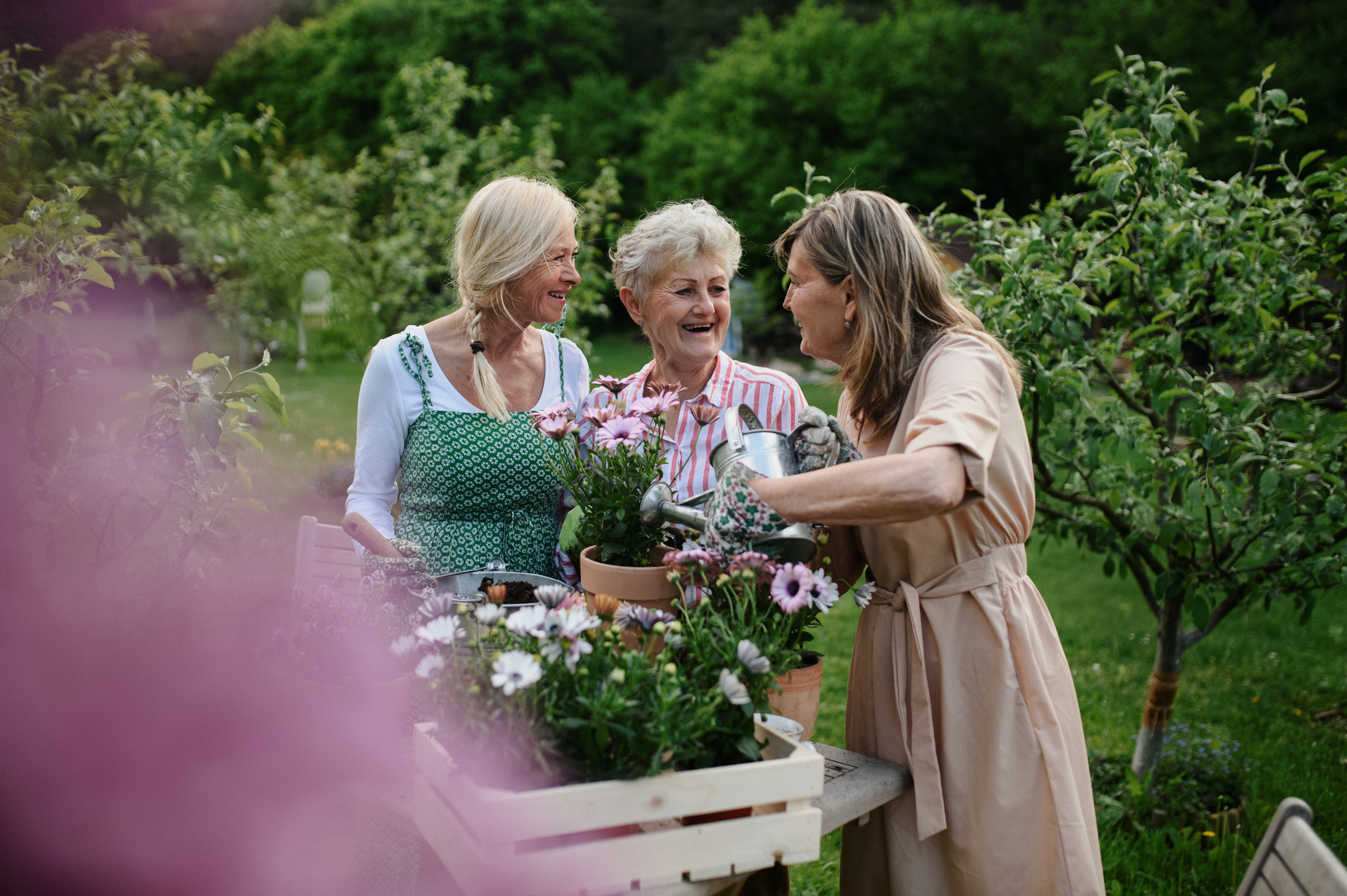 Three women gardening and laughing together outdoors